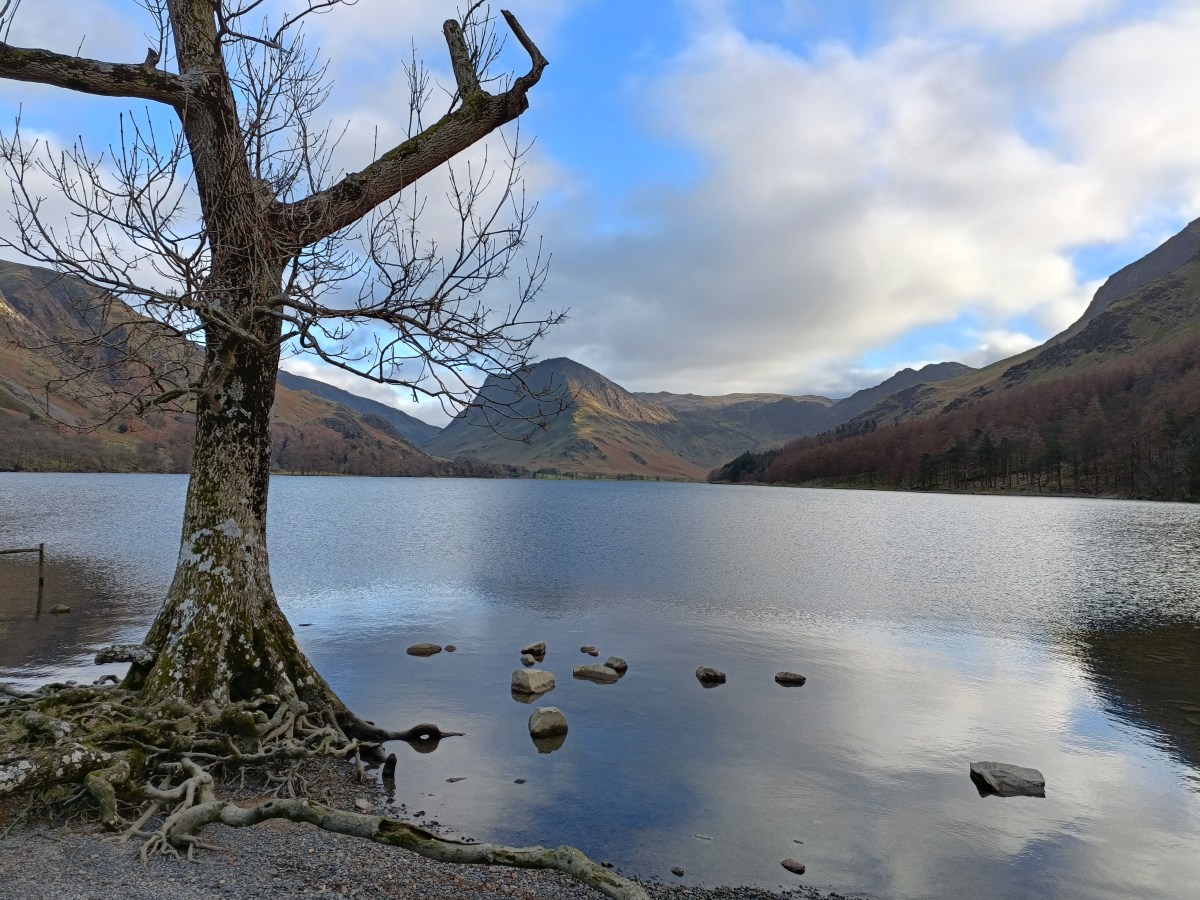 Look at the&nbsp;trees