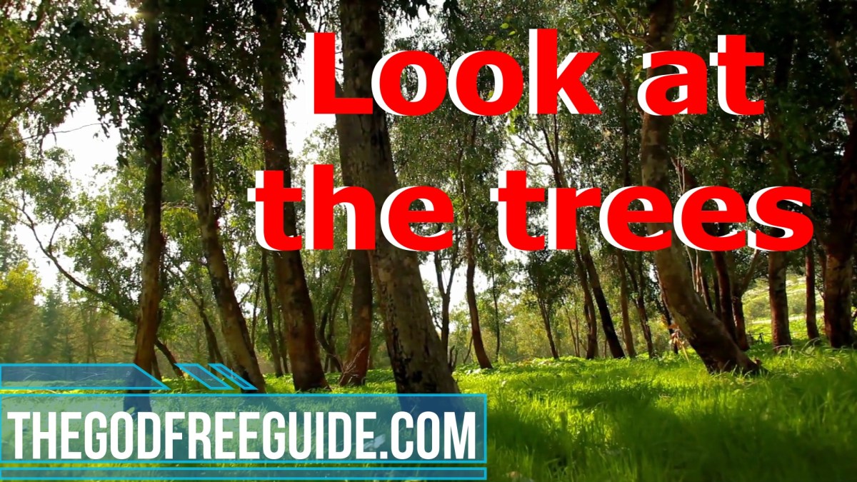 Look at the&nbsp;trees